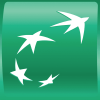 BNP Paribas Personal Finance Logo